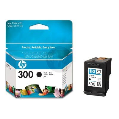 HP CC640EE (300 BK)